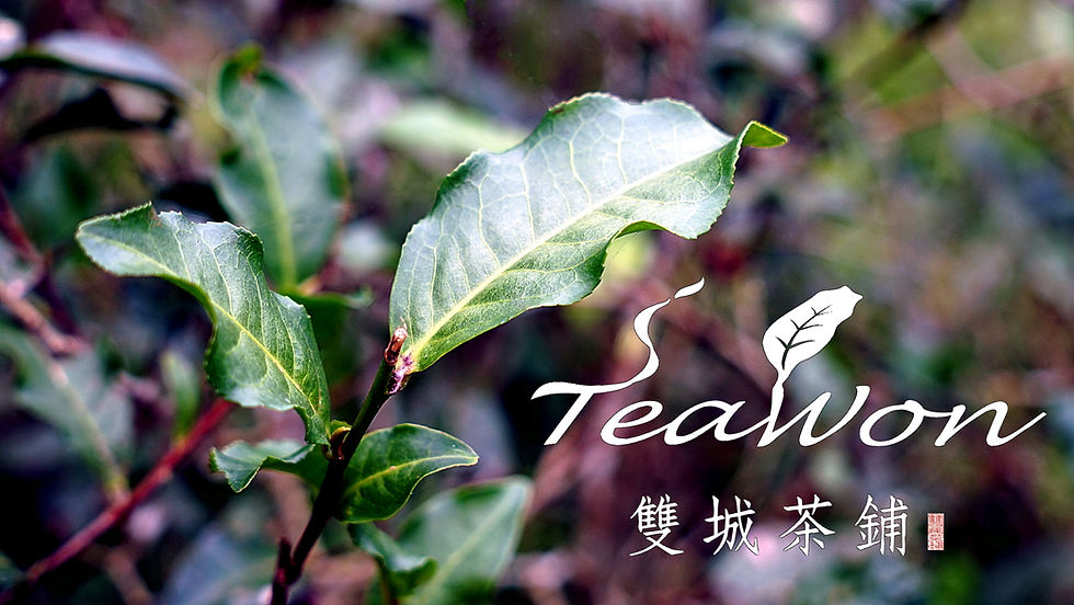 Maokong, The Closest Tea Garden in Taipei City
