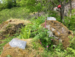 The Caffeine in green tea, oolong tea and black tea