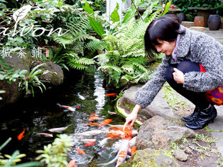 The Wistaria Teahouse