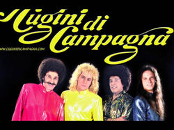 I CUGINI DI CAMPAGNA