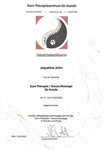 Fortbildung Dorn Therapie