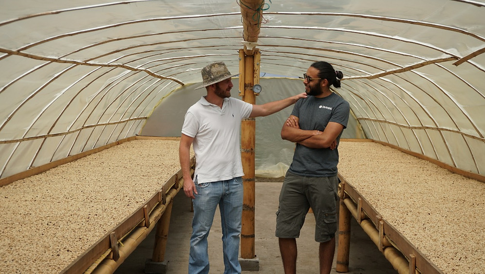 Conversando de café