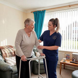 Helping at Home carer with client at home