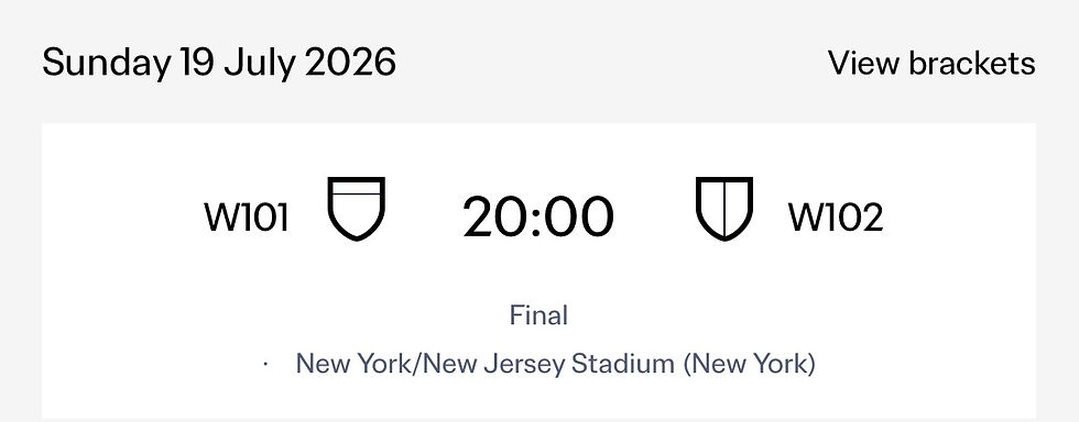 FIFA World Cup Final 