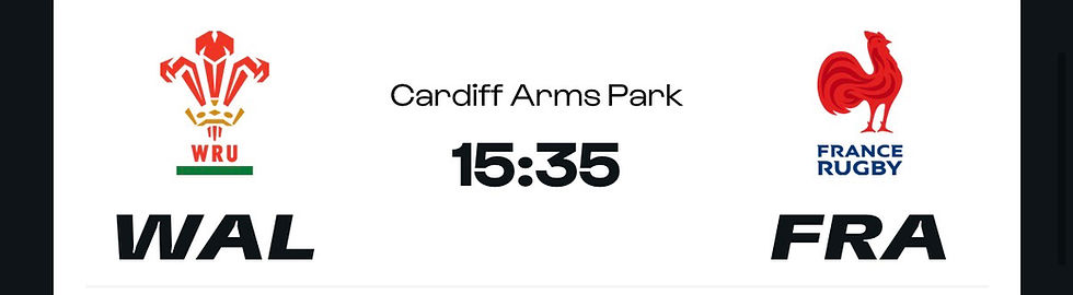 W6N Wales Vs France