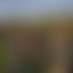 Congratulations to our U16s heading to a Final at Murryfield