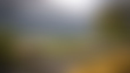 Une commune engagée pour le bien-être de ses habitants