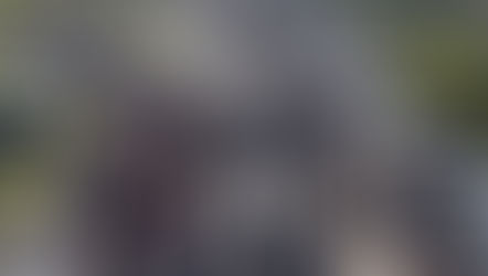 Brocante/Vide-greniers