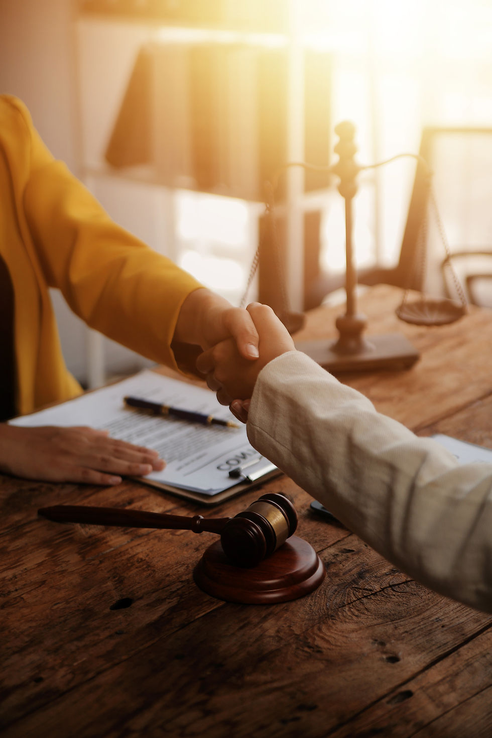 Professionals shaking their hands over an agreement.