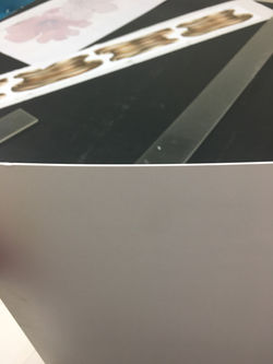 S__10731546