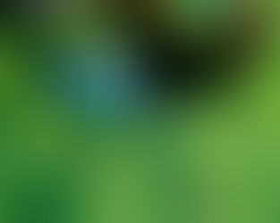 A Bug’s Life Changed Mine