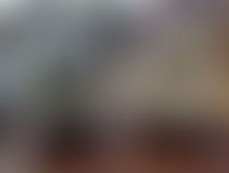 DIY: Make your own Terrarium