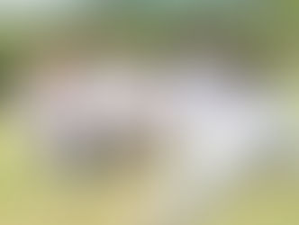 Sticky Fingers Release New Music Video