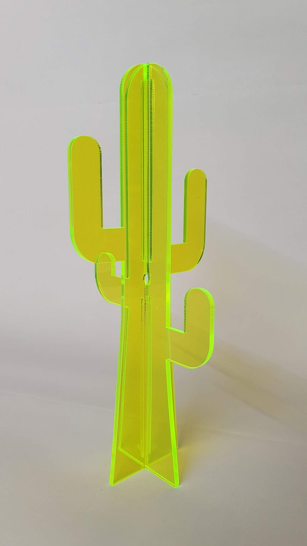 Thumbnail: Jewellery Cactus Small