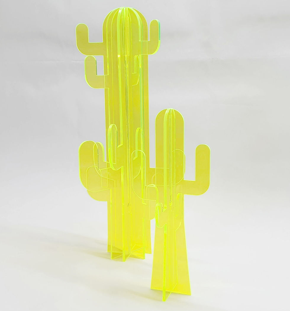Thumbnail: Jewellery Cactus Medium - GREEN