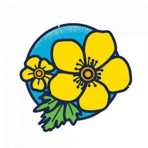 2nd Annual Buttercup Battle