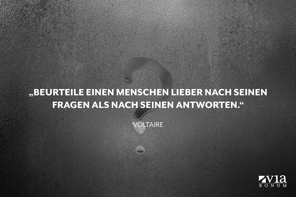 zitat voltaire via bonum vermögen aufbauen