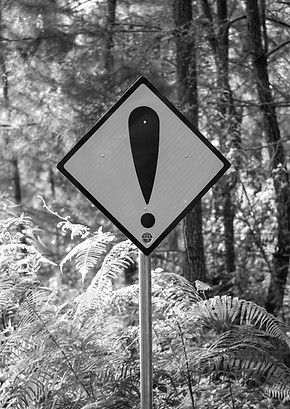 yellow and black road sign_edited.jpg