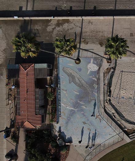 DJI_0335.JPG
