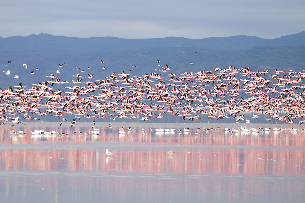 Lake Manyara