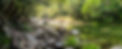 AdobeStock_449316332.jpeg