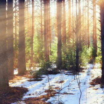 Start the New Year Right: Kick-Start the New Year with Sustainable Resolutions 