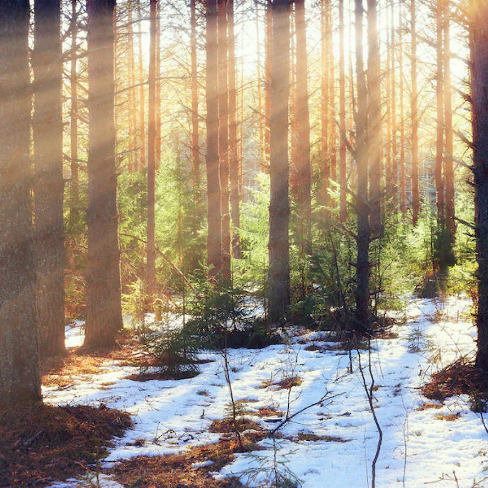 Start the New Year Right: Kick-Start the New Year with Sustainable Resolutions 