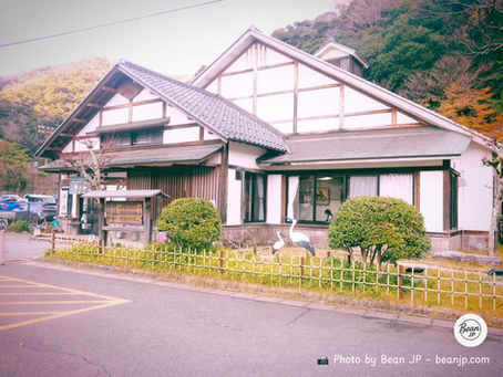 A Traveler's Reflection: Kono-Yu Onsen and Kinosaki’s Timeless Traditions