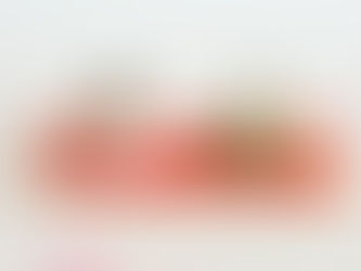 Cặp búp bê Hina được trưng bày tinh tế trên góc kệ của một ryokan truyền thống. Hình: Internet