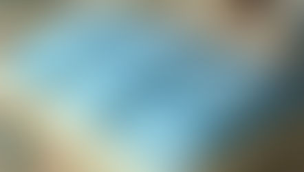 Information on Skylight Roof Systems