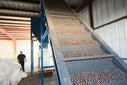 Valley Cold Storage
