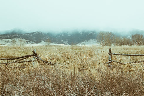 Dry Fields_edited_edited.jpg