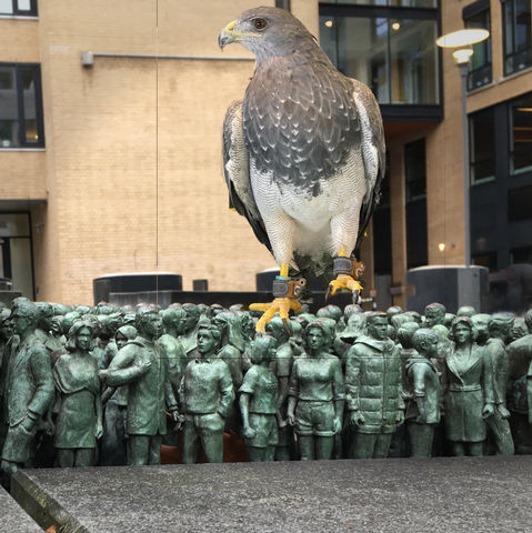 Bird on Stick People