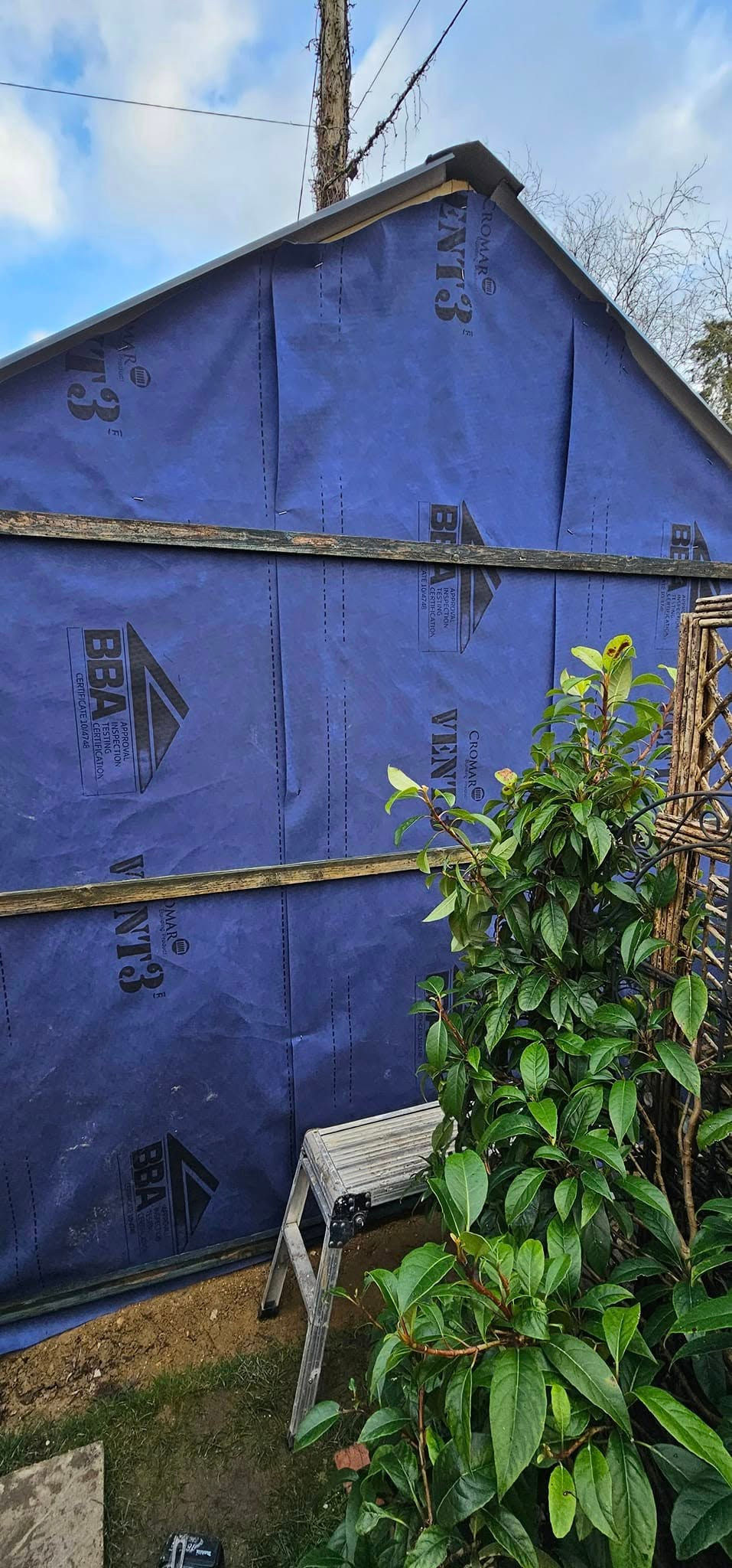 the shed