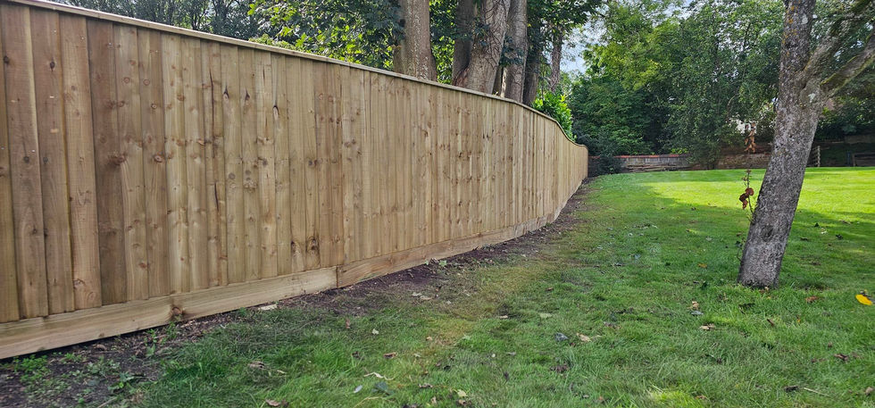 370423263_753224276813915_6243841735098454956_n