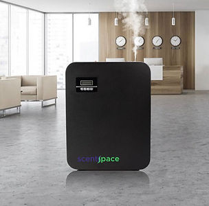 WhatsApp Image 2023-08-28 at 02.13.44 (1).jpeg