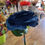 Thumbnail: Long stem Dark Blue Tudor Rose