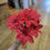 Thumbnail: Glittered centre red poinsettia bunch