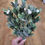 Thumbnail: Large frosted pearly mistletoe bunch