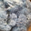 Thumbnail: Bag off 144 baby blue carnation head picks