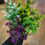 Thumbnail: Plastic Caltha bush - 4 colours available 