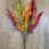 Thumbnail: Autumnal fern bunch 