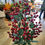 Thumbnail: 77cm tall premium red berry and holly branch
