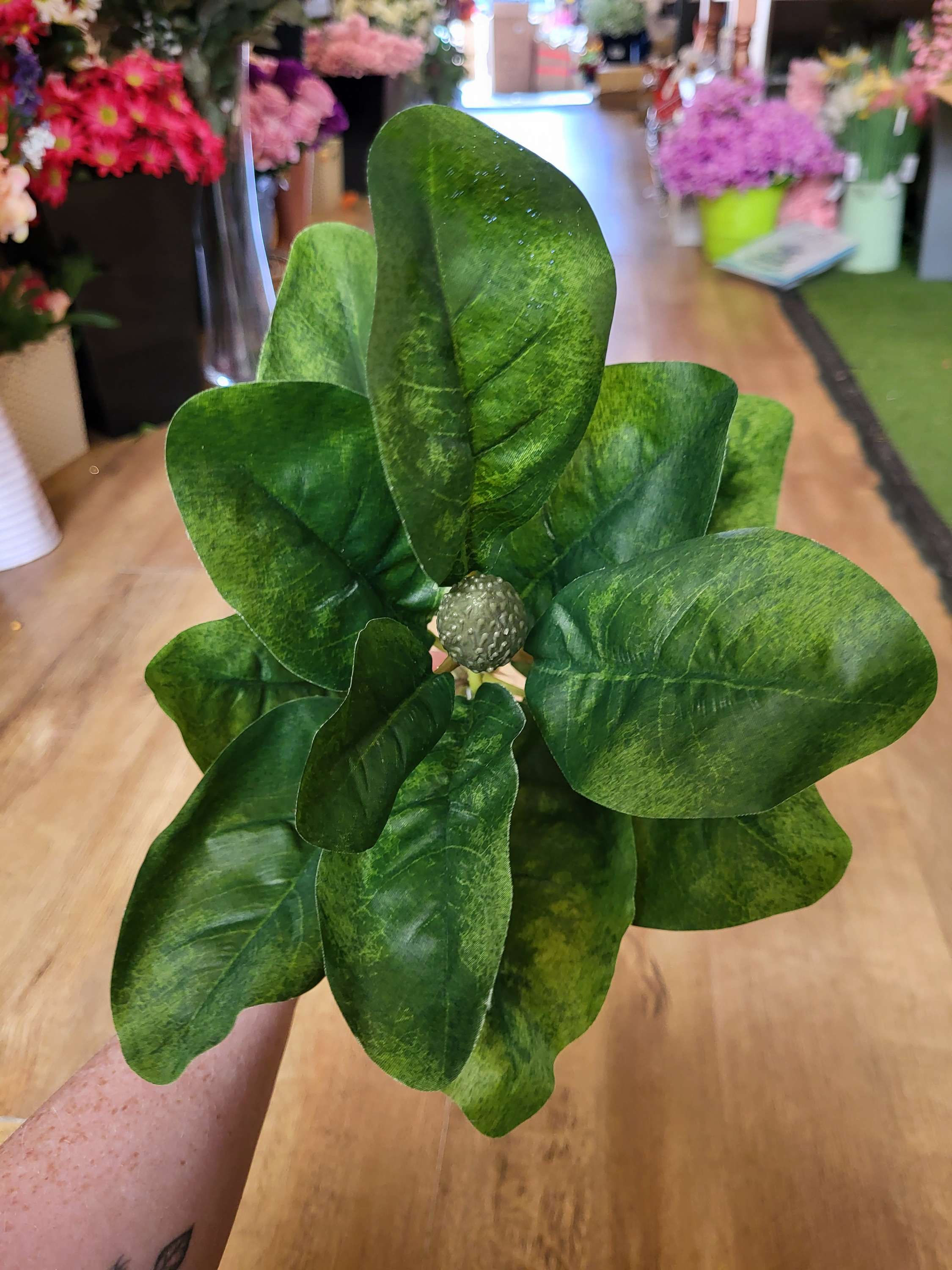 Long stem magnolia leaf 