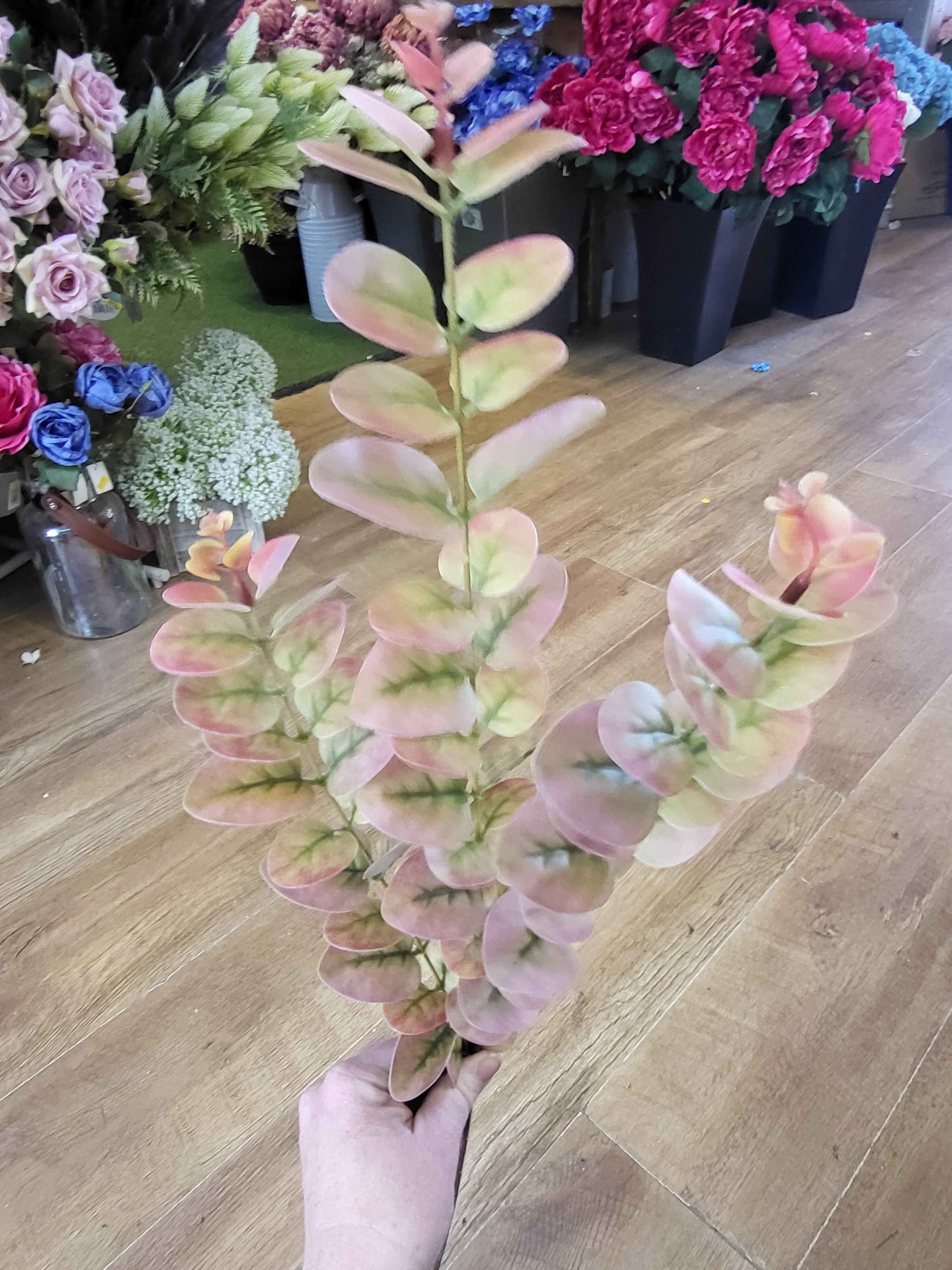Long stem dark pink and green eucalyptus spray