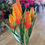 Thumbnail: Plastic cone bush - 5 colours available 