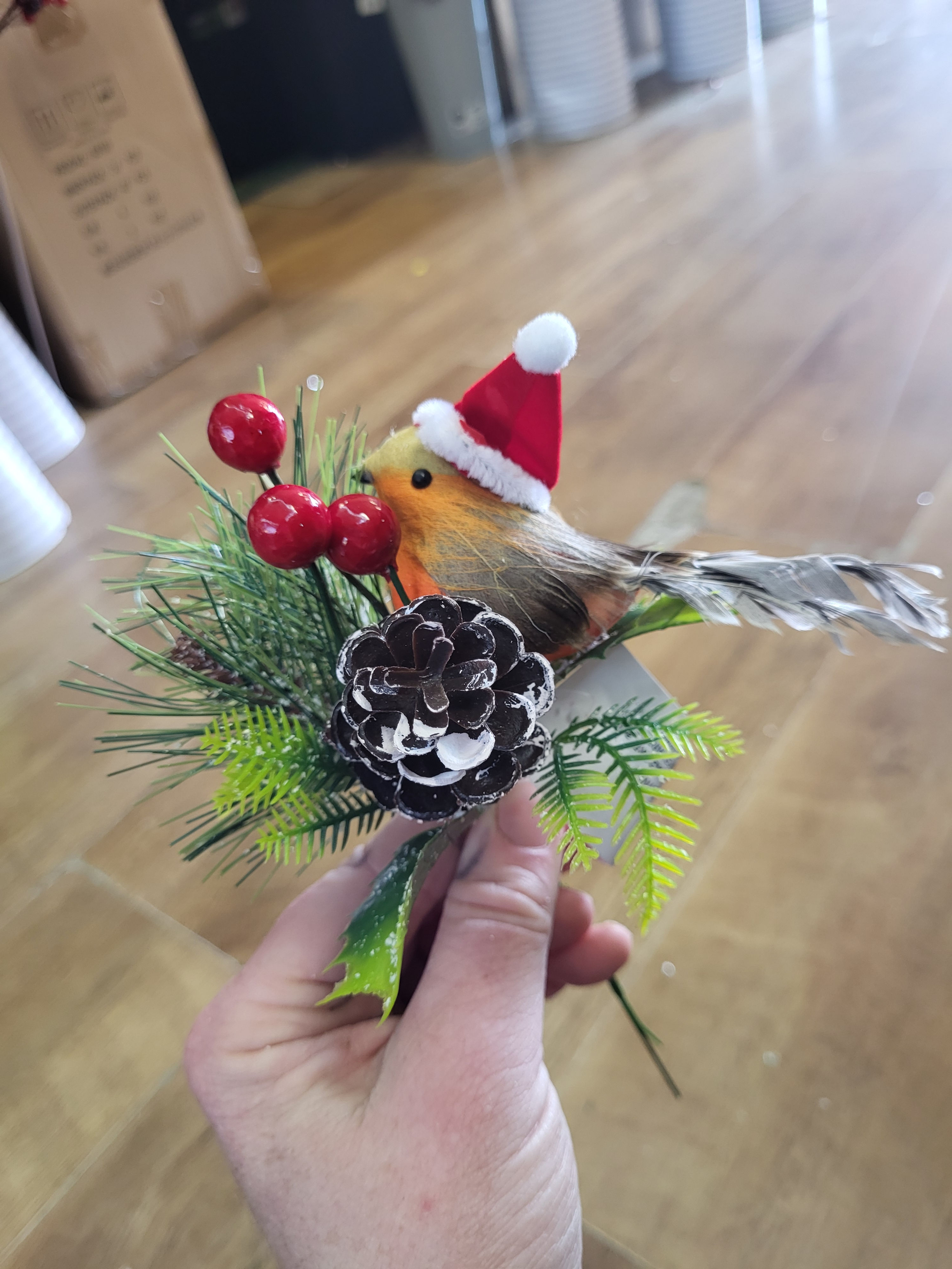 Robin with santa hat pick