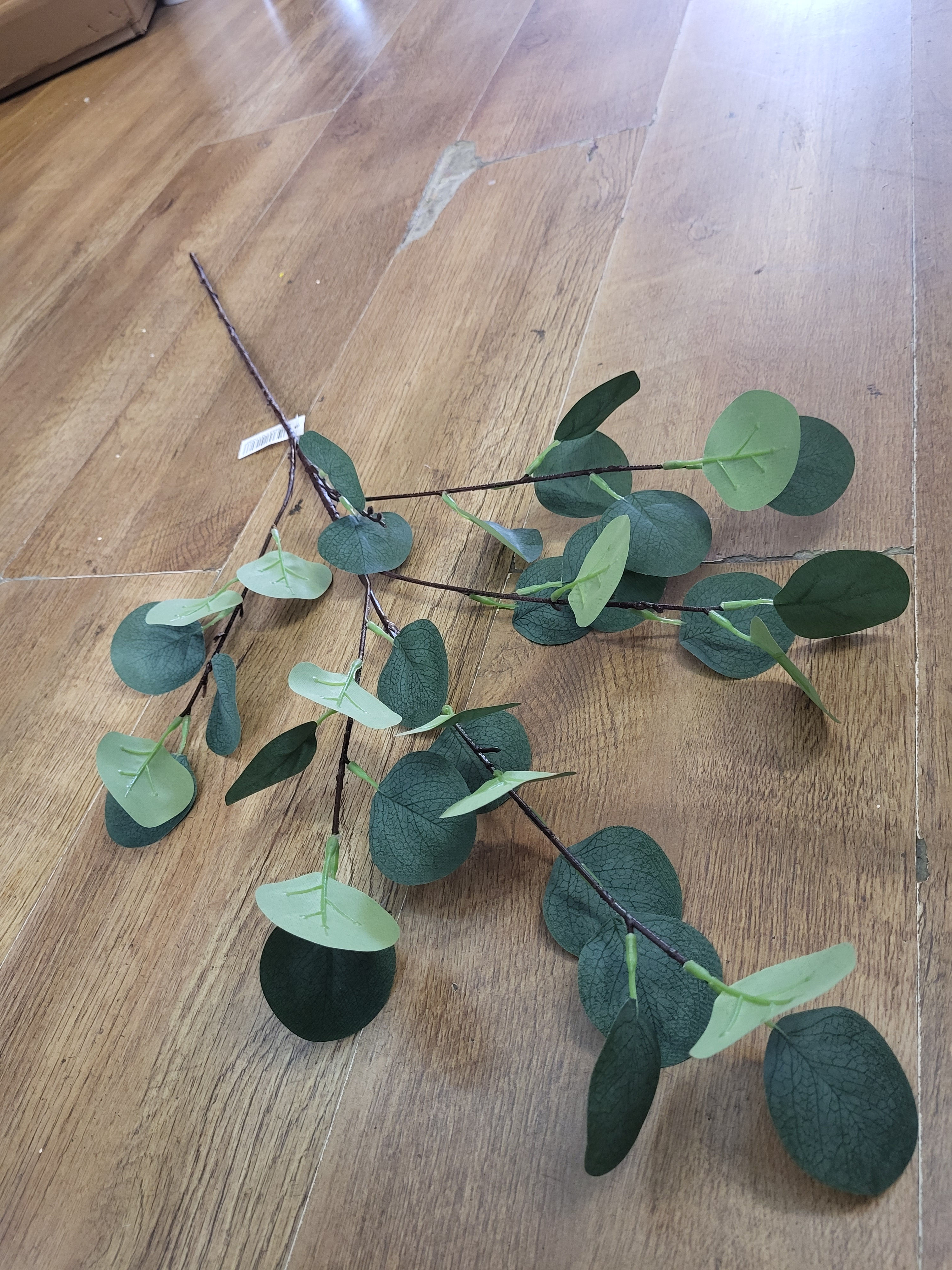 Long stem eucalyptus spray