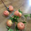 Thumbnail: 78cm tall Apple branch