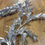 Thumbnail: Silver metallic Boxwood garland 